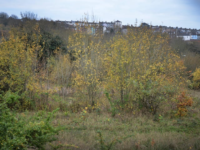 The land where Broomgrove Power Station in Hastings once stood, Firtree Road. SUS-211124-091046001