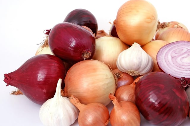 While onions, garlic, shallots and leeks belong to the allium plant family, which is poisonous for dogs. Things like onions and garlic contain a chemical compound called thiosulfate which can be toxic for dogs as it causes damage to their red blood cells, which may result in your dog becoming anaemic. For this reason, it is important to resist the urge to feed your dog any leftover stuffing from your Christmas dinner, as it tends to be packed full of onions and garlic.