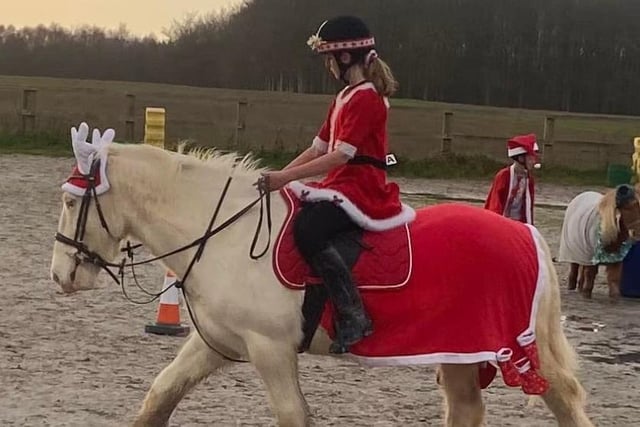 Neil Vidamour's festive horse