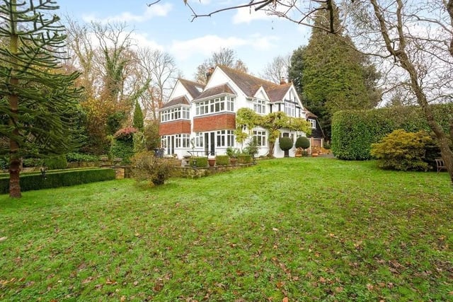 The south-facing gardens have tall hedgerows, topiary, a feature Monkey Puzzle tree and lawns. Picture: Hamptons - Haywards Heath Sales.