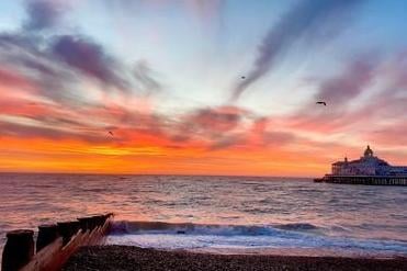 Another New Year's Day sunrise from Mihaly Somogyi, east of the pier. SUS-220501-154146001