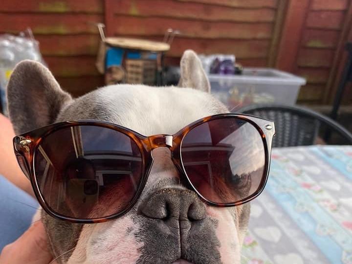 Claire Hobson posted this photo to our Shoreham Herald FB page with the message: 'Gus'