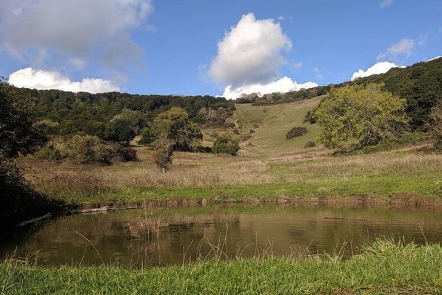 Kingley Vale is the perfect place to explore, go on adventures, long walks and picnics.
