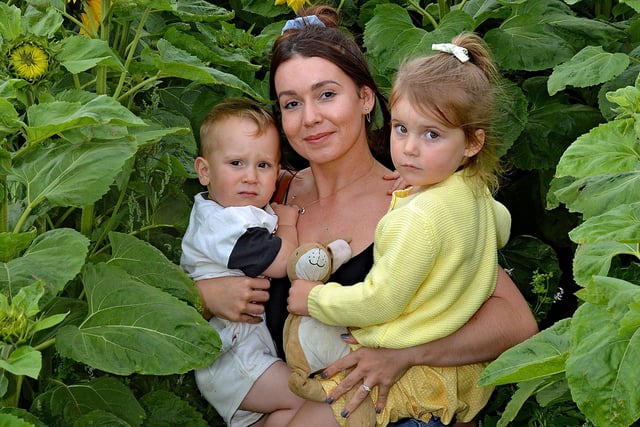 Lost in the field of Sunflowers at Kenny Gilpin's Farm, Derryall Road, Portadown, are Sarah Gracey and her kids, Benjamin (1) and Mylah(3). INPT33-206.