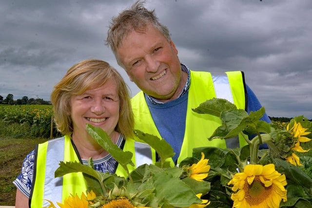 Portadown Farmer, Kenny Gilpin and his wife, Mary, have opened their fields of 170,000 sunflowers to the public. All proceeds from the event will go to the First Portadown Presbyterian Church Building Fund. The flowers cn be found at 14 Derryall Road, Portadown. INPT33-207.