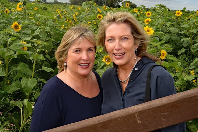 Posing at the massive field of sunflowers at Kenny Gilpin's Farm, Derryall Road, Portadown, are sisters, Hazel Busby, left, and Cherith White. INPT33-208.