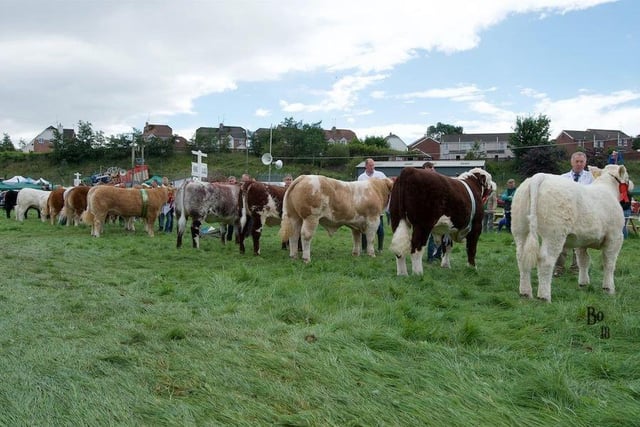 Fermanagh County Show is still to be confirmed but is usually held on the first Tuesday and Wednesday in August.