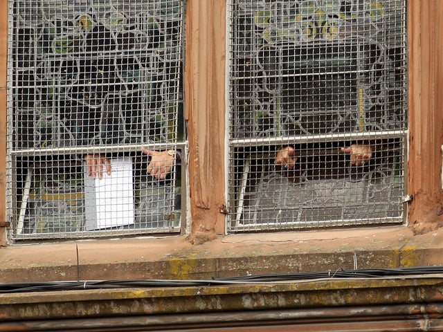 JUNE 15, 2010...  Family members of the victims of the Bloody Sunday shootings give the waiting crowd a 'thumbs up' sign from inside the Guildhall after reading a preview of the findings of the Saville Report.