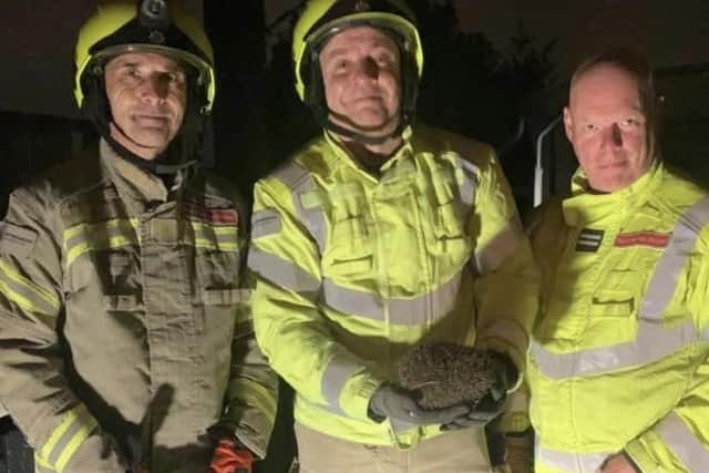 Firefighters with the rescued hedgehog.