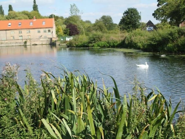 The Carrs in Warsop is a large open space that includes a Local Nature Reserve, recreational areas, play areas, a mill pond, and the River Meden. Declared a Local Nature Reserve in 2005, this park was once a water meadow and common land. It is currently managed by Mansfield Council and offers a variety of leisure activities. The River Meden, known for being one of the cleanest rivers in the county, is home to shoals of brown trout. Additionally, there is a well-equipped children's play area complete with picnic tables.