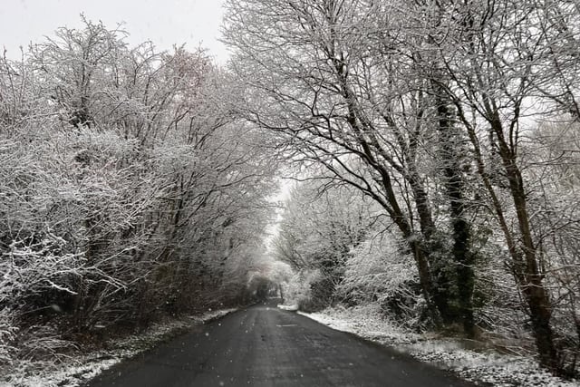A snowfall in Pleasley Vale.