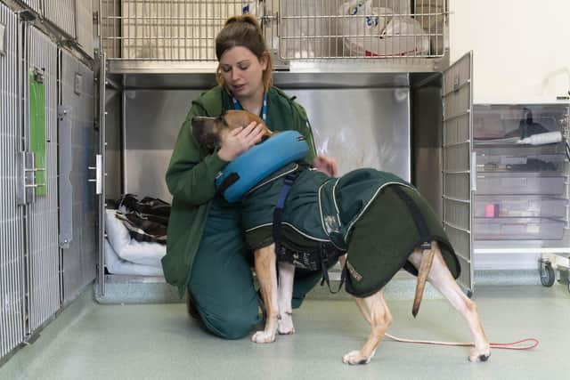 Officers are regularly handwashing before and after handling animals