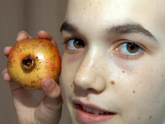 According to the archives back in 2007, Connor Henson from Edwinstowe discovered a spider in a piece of fruit. Anyone remember this?