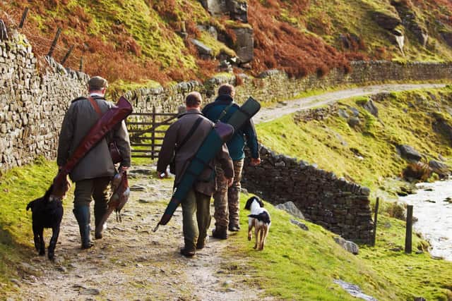 The Wildlife and Countryside Act 1981 states it is illegal to kill or injure any wild bird, including pigeons, unless general licensing regulations are complied with.