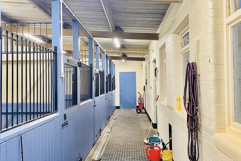 Spacious boarding kennels that have a beach house theme. The former horse stables have been repurposed into a beach stay for some of the dogs.