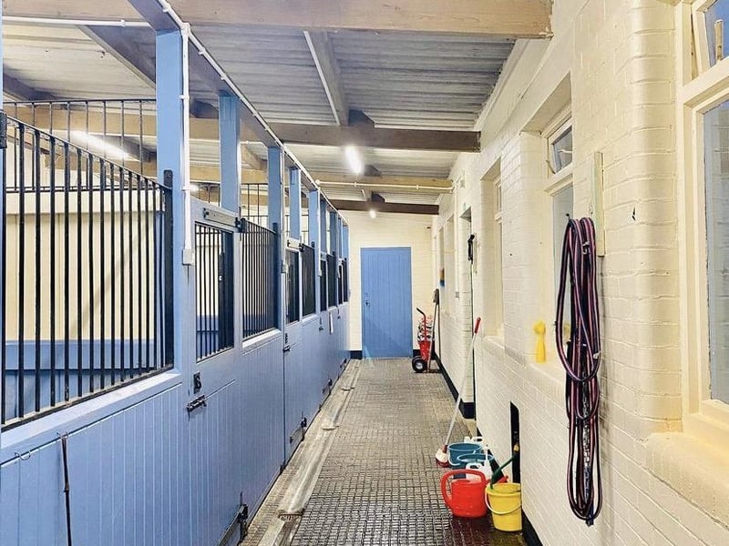 Spacious boarding kennels that have a beach house theme. The former horse stables have been repurposed into a beach stay for some of the dogs.