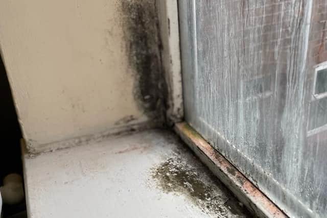 Mould around a window in the property.