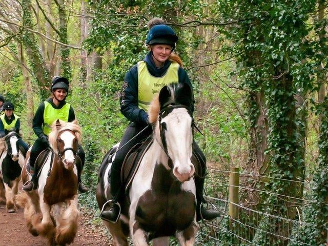 Pony trekking at Creswell Crags near Worksop is a highly recommended activity on TripAdvisor. The sessions are run by Coloured Cob Equestrian Centre - providing quality horse riding tuition as well as  off road hacking and trekking opportunities. For more information, see colouredcob.co.uk