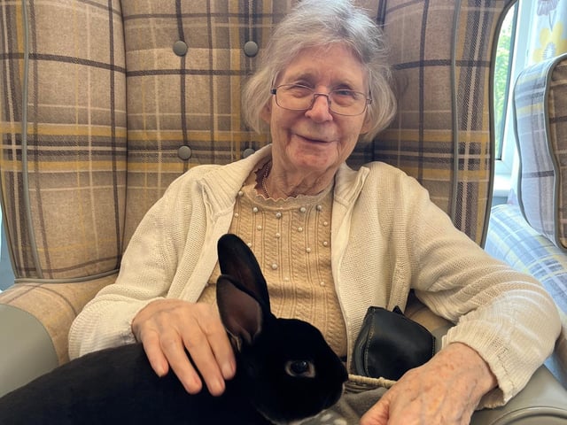Resident from HC-One’s April Park Care Home with rabbit from Leanimals Petting Zoo