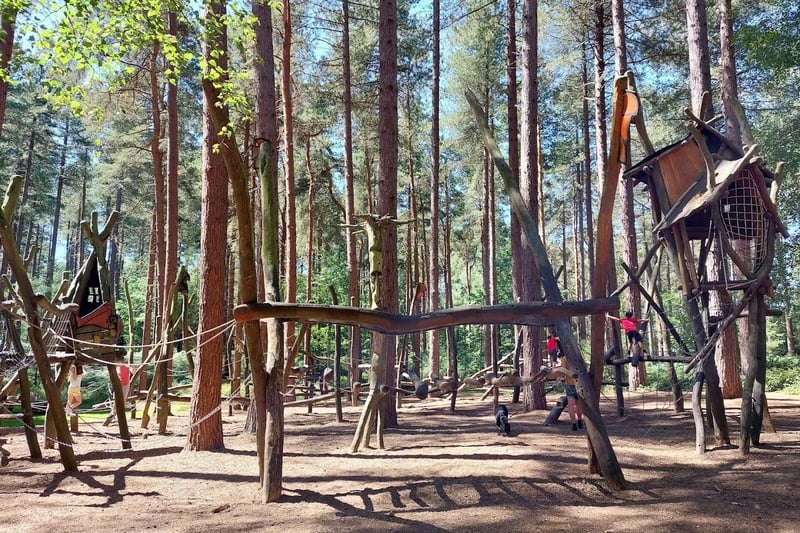 This circular walk takes you through the network of trails within Sherwood Pines. There are hundreds of different routes and trails to keep things interesting. This is a great area to mountain bike, trail run or just stroll. Rated: Moderate