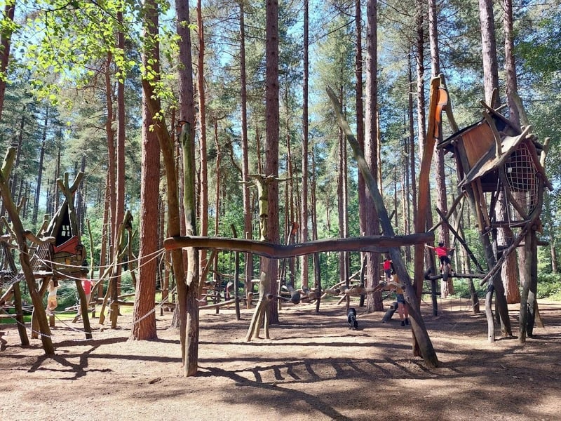This circular walk takes you through the network of trails within Sherwood Pines. There are hundreds of different routes and trails to keep things interesting. This is a great area to mountain bike, trail run or just stroll. Rated: Moderate