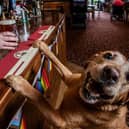 A sight you will not see in Wetherspoons. Photo: SWNS.