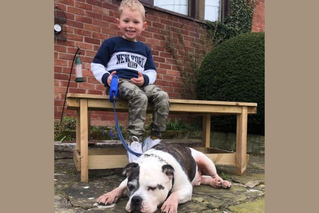 Carla Antonia Wood said This is my Theo and his granny and grandad's dog, Bruno. Ever since I was pregnant Bruno was there by my side then once Theo was born, by his. They truly are like best of friends.