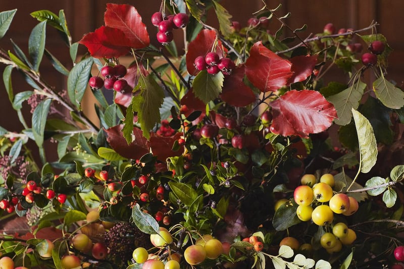 An example of a winter posy created for Her Majesty The Queen, featuring a mix of evergreen leaves and colourful berries.