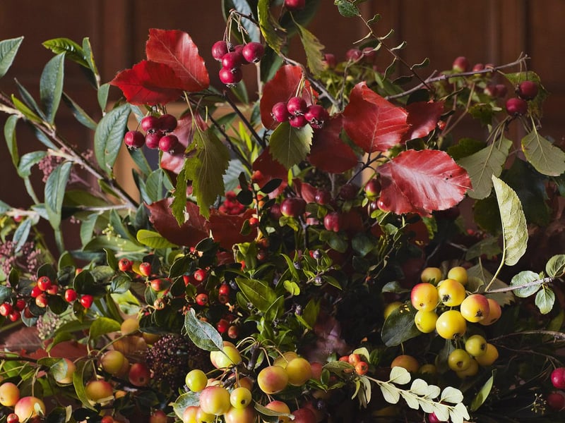 An example of a winter posy created for Her Majesty The Queen, featuring a mix of evergreen leaves and colourful berries.