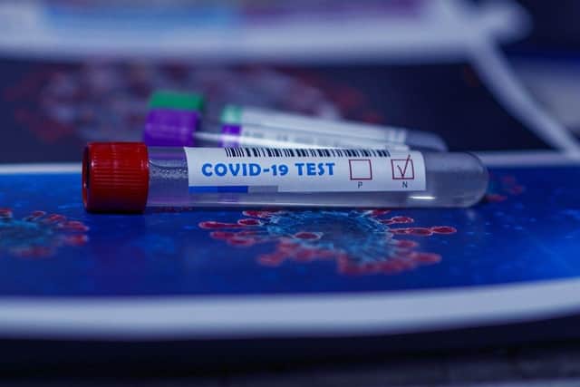 Rapid coronavirus testing will be rolled out in schools from January