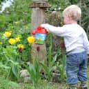 10 Easy gardening hacks you need to know during Covid lockdown.