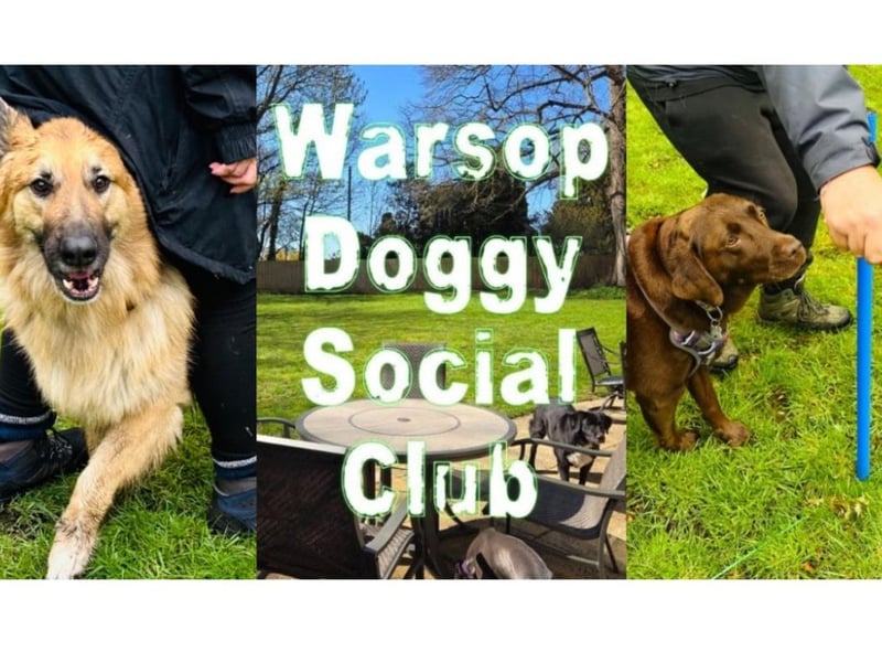 Warsop Doggy Social Club launched in April 2025.