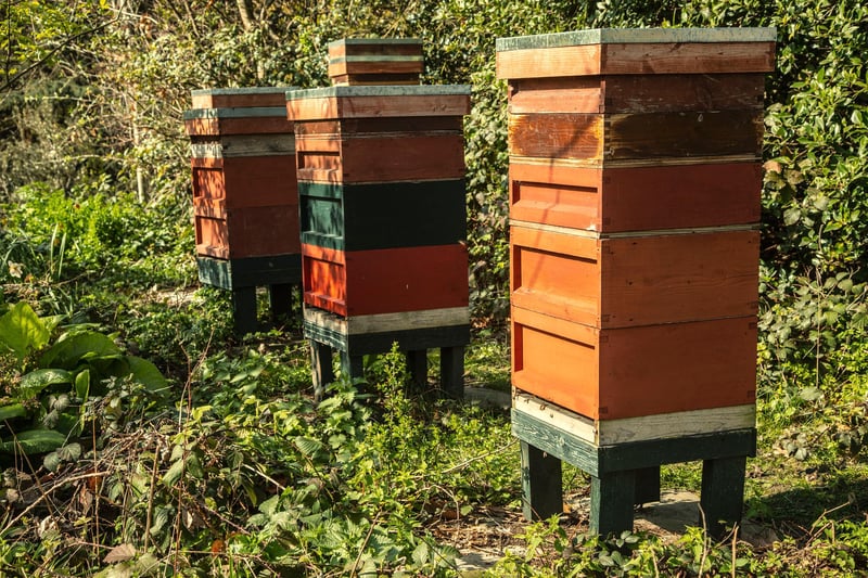 Five beehives are located on the island set within the Palace’s lake.
