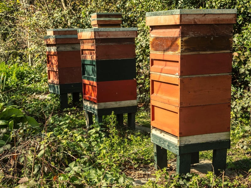 Five beehives are located on the island set within the Palace’s lake.