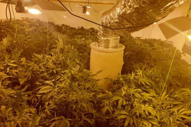 Around 400 cannabis plants were seized from two major grow sites in Mansfield and Nottingham.