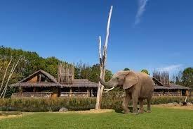 It's going to cost you a few quid but if you're an animal lover then this place is the perfect place to stay that will create lasting memories. West Midlands Safari Park holds over 165 species of exotic animals and features other attractions such as a small theme park. Best of all it has safari lodges allowing you to be in the heart of the animals.