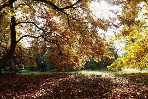Wrap up warm to keep the chills at bay and take a walk around the beautiful grounds at Oakham Nature Reserve.