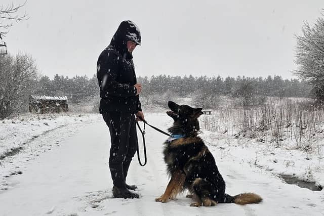 A man's best friend.