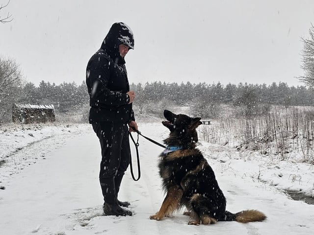 A man's best friend.