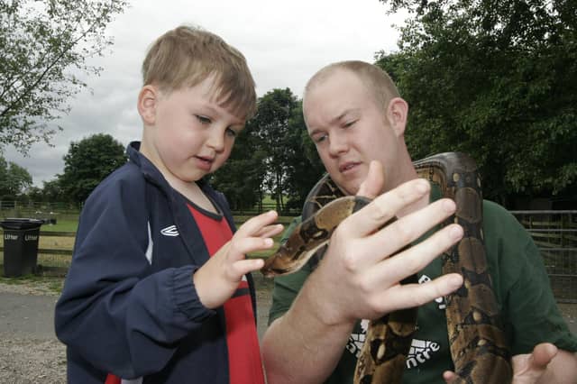 Getting to know one of the farm's snakes