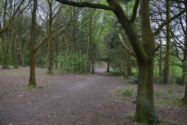 The picturesque woodland at Berry Hill Park, Mansfield is popular with ramblers and dog-walkers.