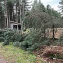 This photo was sent to us by Sherwood Pines - Forestry England. They said: "Sherwood Pines is closed today due to the high winds. There are a number of trees down in the car parks, visitor centre area and the trails so we won't be able to reopen until we have finished tree removal and trail safety checks later on tomorrow."