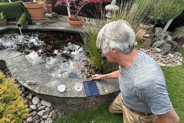 Mr Alan Hunt discovered the hornet at his Warsop home on World Bee Day.