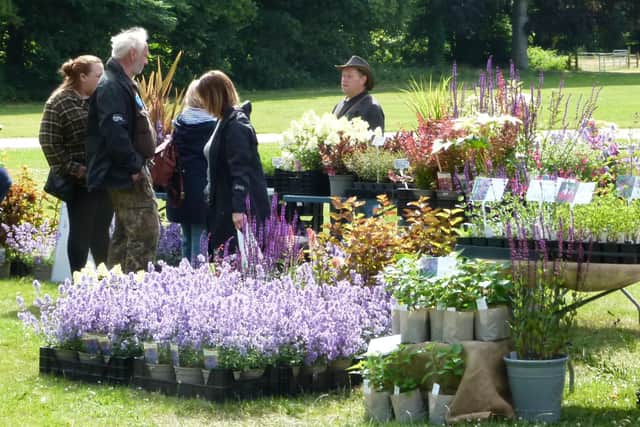 Summer Plant Hunters' Fair at Thoresby Park