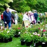 Summer plant fair returns to Southwell Minster on Sunday, 2nd August