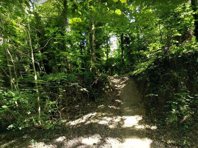 There are many walking routes for you to enjoy around Sprotbrough Flash. This place will be ideal for all members of the family.