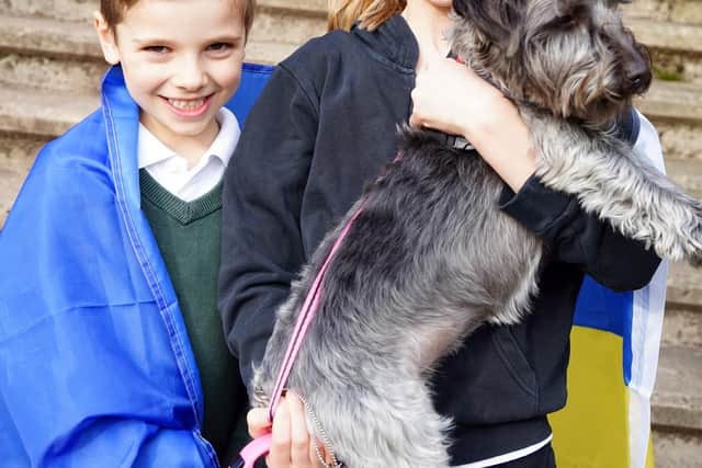 Marvellous Maisey Walton's staircase climb challenge raised £650 for the people of Ukraine -  she is pictired with five-year old brother Noah and pet dog Bella who helped give her encouragement!