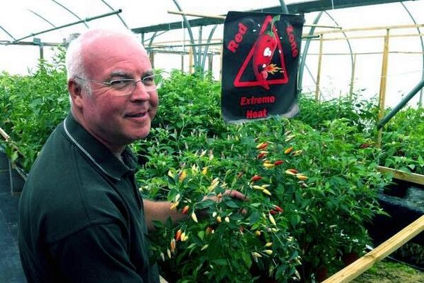 When Bob Price (pictured), known as Chilli Bob, who ran Nottinghamshire's only chilli farm, died in 2019, it was a case of sadness all round. But his son Neal has picked up the baton and revived the East Midlands Chilli Festival in his memory. Taking place on Friday, Saturday and Sunday at Southwell Racecourse, it is expected to attract thousands of visitors, who will enjoy a weekend of live music, family entertainment and more than 70 stalls.
