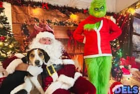 Walter at Dels Pets in Mansfield with Santa Paws and the Grinch.