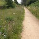 Linby Trail is one of the sites being earmarked to become a local nature reserve under plans from Nottinghamshire County Council